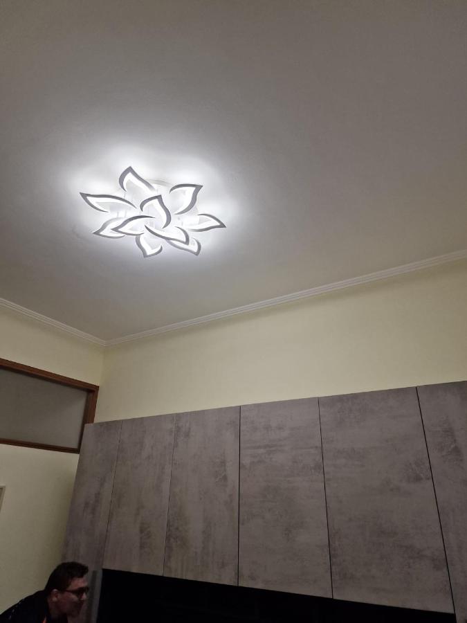 In Pieno Centro Storico Antico Quadrilatero Apartment Bologna Ngoại thất bức ảnh